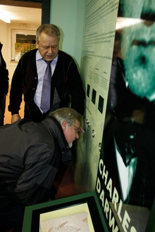 naturmuseum-evolution-4.jpg desc