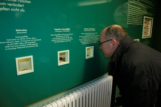 naturmuseum-evolution-5.jpg desc